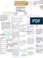 Mapa Psico Desarrollo