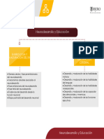 Ruta - Neurodesarrollo y Educación