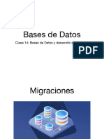 14 - Desarrollo de Software