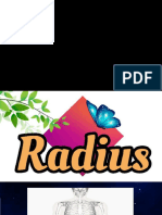 Radius Bone
