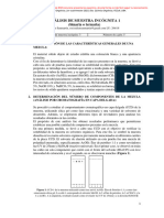 Informe 1 AFO-Rocío Sanmartín