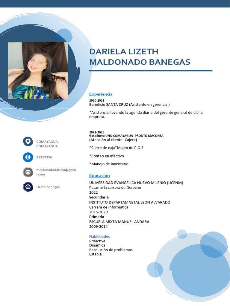 Perfil Profesional de Dariela Maldonado | PDF