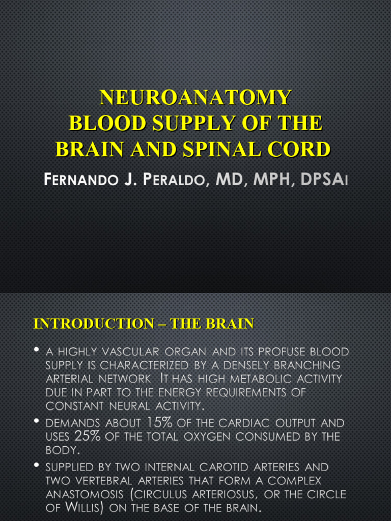 14-Blood Supply of The Brain and Spinal Cord | Download Free PDF ...