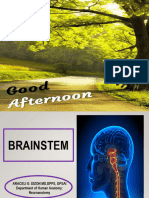 16-Brainstem - Agdmd Oct 2022
