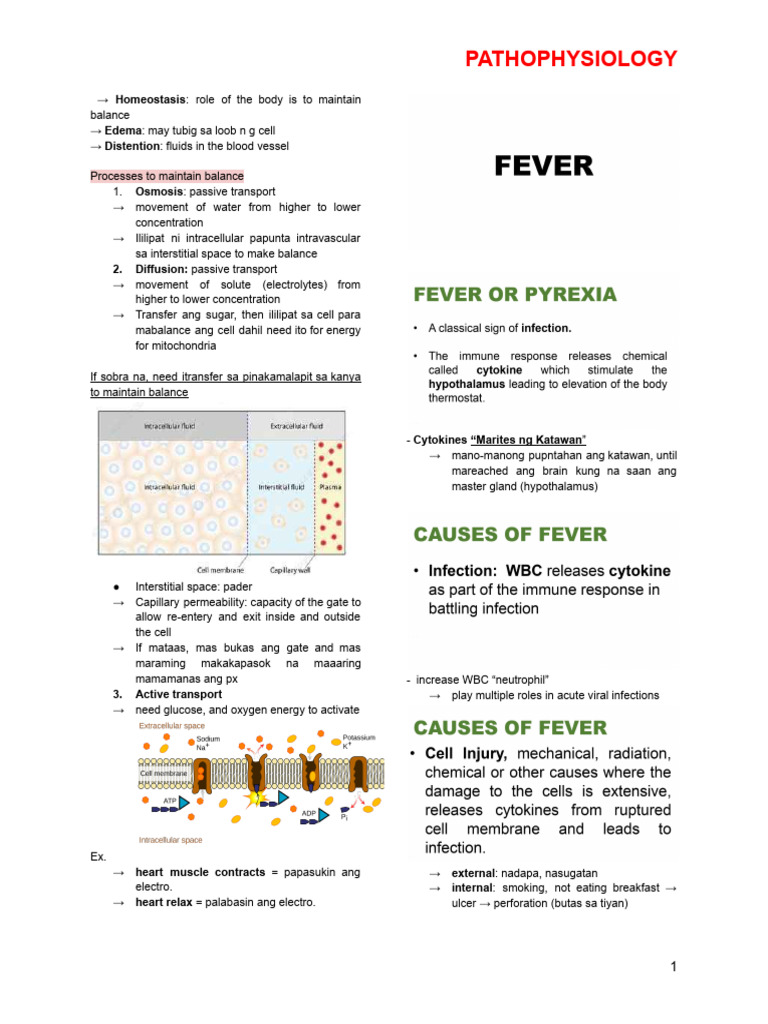 Pathophysiology Lecture | PDF | White Blood Cell | Medical Specialties