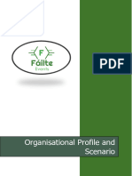 Fáilte Events - Organisational Profile and Scenario For Program Management