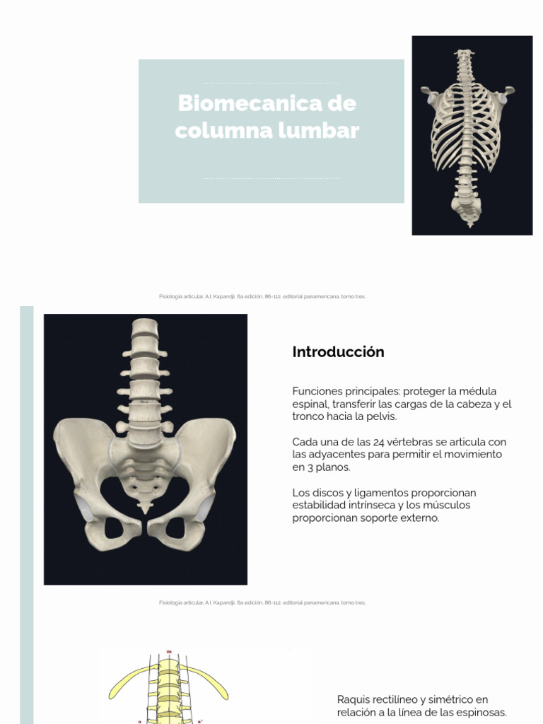 1 Biomecánica de Columna Lumbar | PDF | La columna vertebral | Vértebra