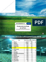 13 Produccion Avicola en Peru y El Mundo Modelo de Eficiencia Productiva