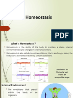 Homeostasis