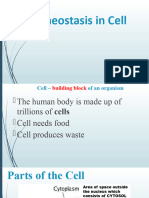 Homeostasis in Cells