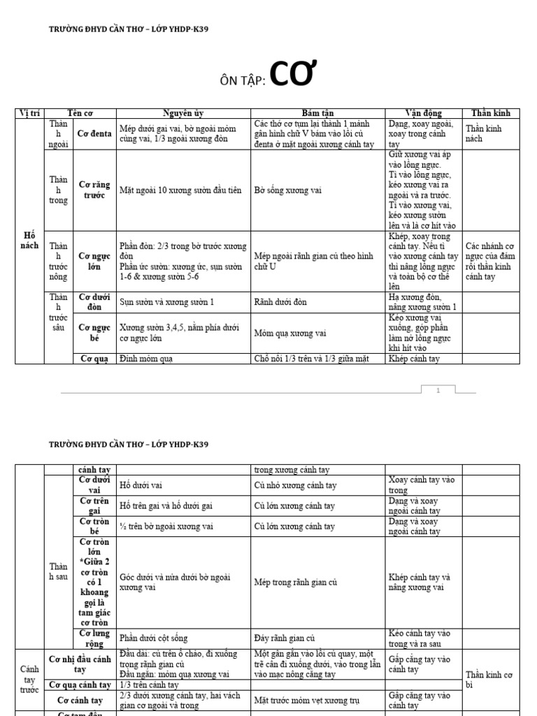 OnTap Cơ | PDF