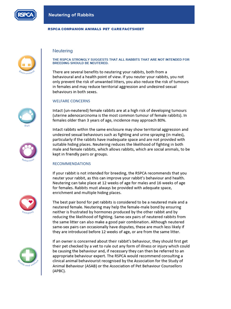 Rabbit Neutering Factsheet (PDF 176KB) Download Free PDF Neutering