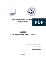 Manual ICB 536 ZC 06032019