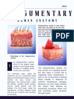 Integumentary System