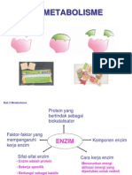 METABOLISME