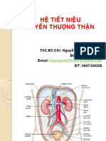 HỆ TIẾT NIỆU - TTT - CỬ NHÂN