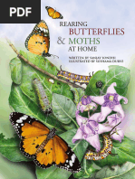 Rearing Butterflies and Moths at Home - TITLI Trust