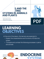 Endocrine System