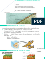 2.1.1 Membrana e Osmose