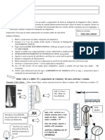 Odontometria Nata LS