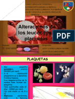 fisiopatologia SEMINARIO 2