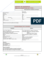 20130527_rapport_diagnostic_type1_fr