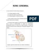Tronc-Cérébral (1) Cours Anatomie Nerveuse