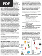 M2 Protection and Conservation of Natural Resources Notes With Activity