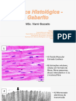 Prática de Revisão I (Tecidos Básicos) - Gabarito