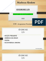 Sindrome LIN - Prof. Matheus Krlow - 2022