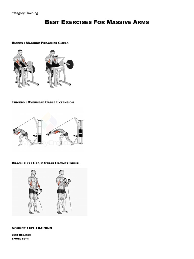 Best Exercises for Massive Arms | PDF | History