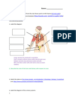 Excretion worksheet (1)