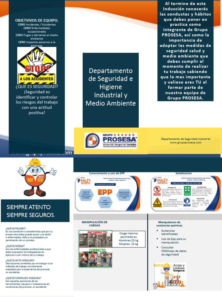 Seguridad Industrial en Grupo PROSESA | PDF | Tecnología