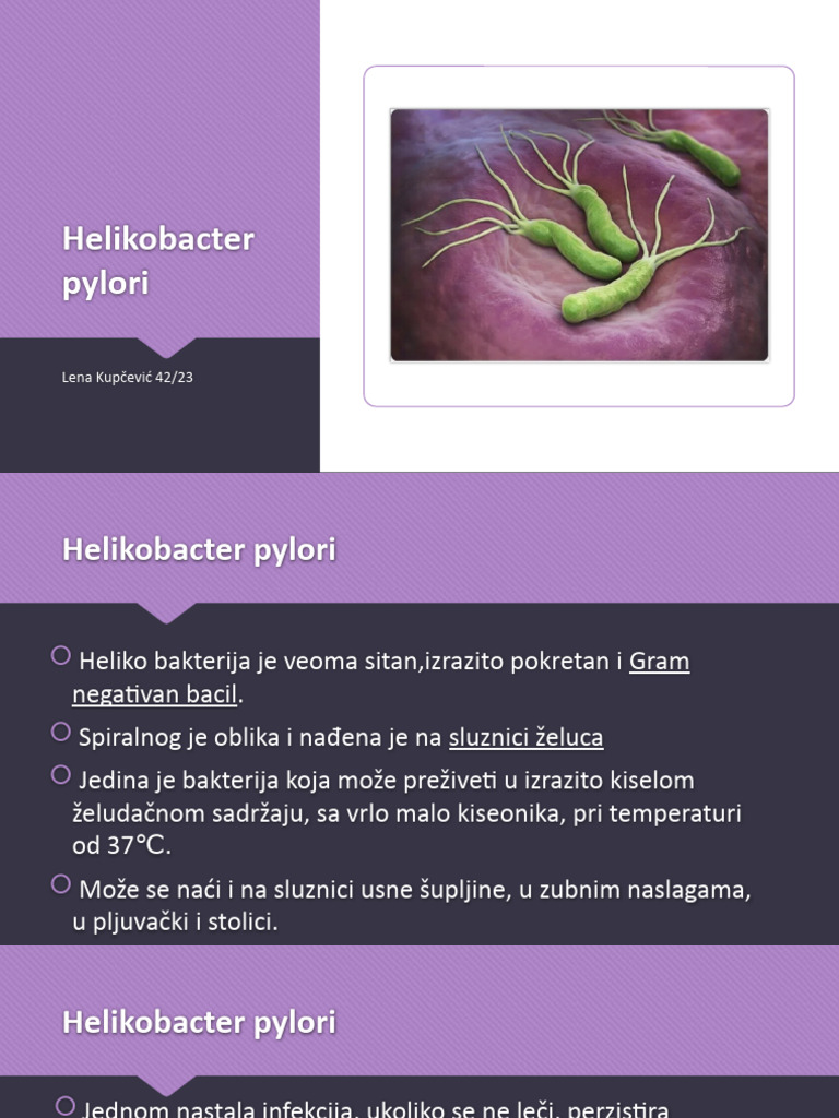 Heliko Bakterija - PP | PDF