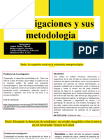 PDD - Investigaciones y Sus Metodologia