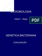 Genetica Bacteriana