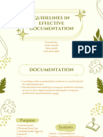 Guidelines in Effective Documentation