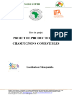 BUSINESS PLAN DU PROJET PRODUCTION DE CHAMPIGNONS COMESTIBLES. WENANG BOUGUE SAMUEL JIRES YABIC DE YABASSI (Réparé) - 1