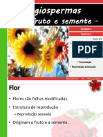 FLOR_FRUTO_SEMENTE