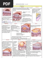 Vitropresión y diascopia en dermatología | PDF | Especialidades Medicas ...