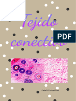 Practica 2 - Tejido Conectivo