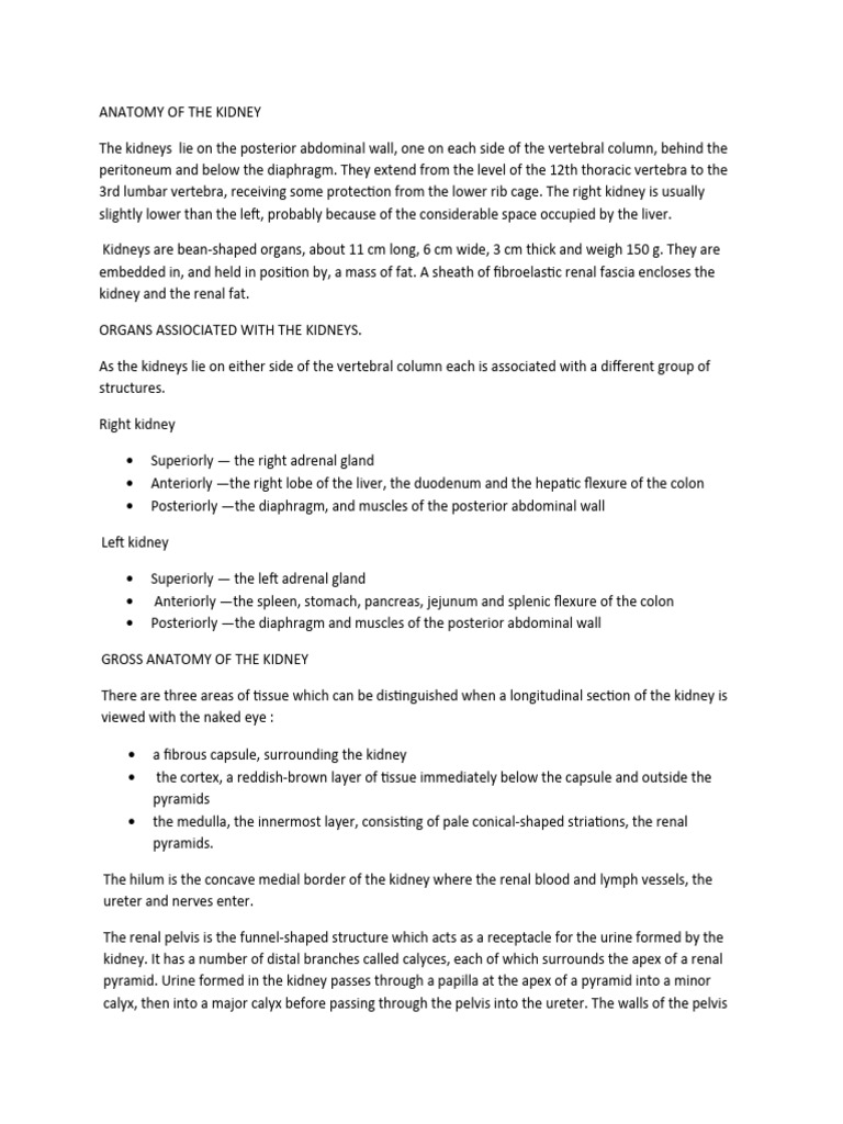 Anatomy visual data 4