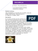 Plantas Psds - Docx 1.1