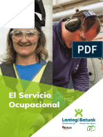 Manual Servicio Ocupacional Cast Web