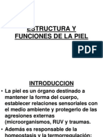 1 - Estructura y Funciones de La Piel - Edit