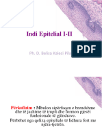 Indi Epitelial 2022-I-II 2