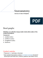 Neuroanatomy 2