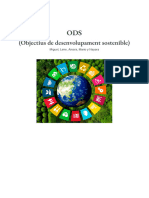 Objectius de Desenvolupament Sostenible (Grup 1) PDF