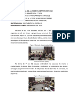 Relatório Pibid Ufam 2024