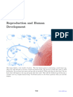 Chapter 25 - Reproduction and Human Development